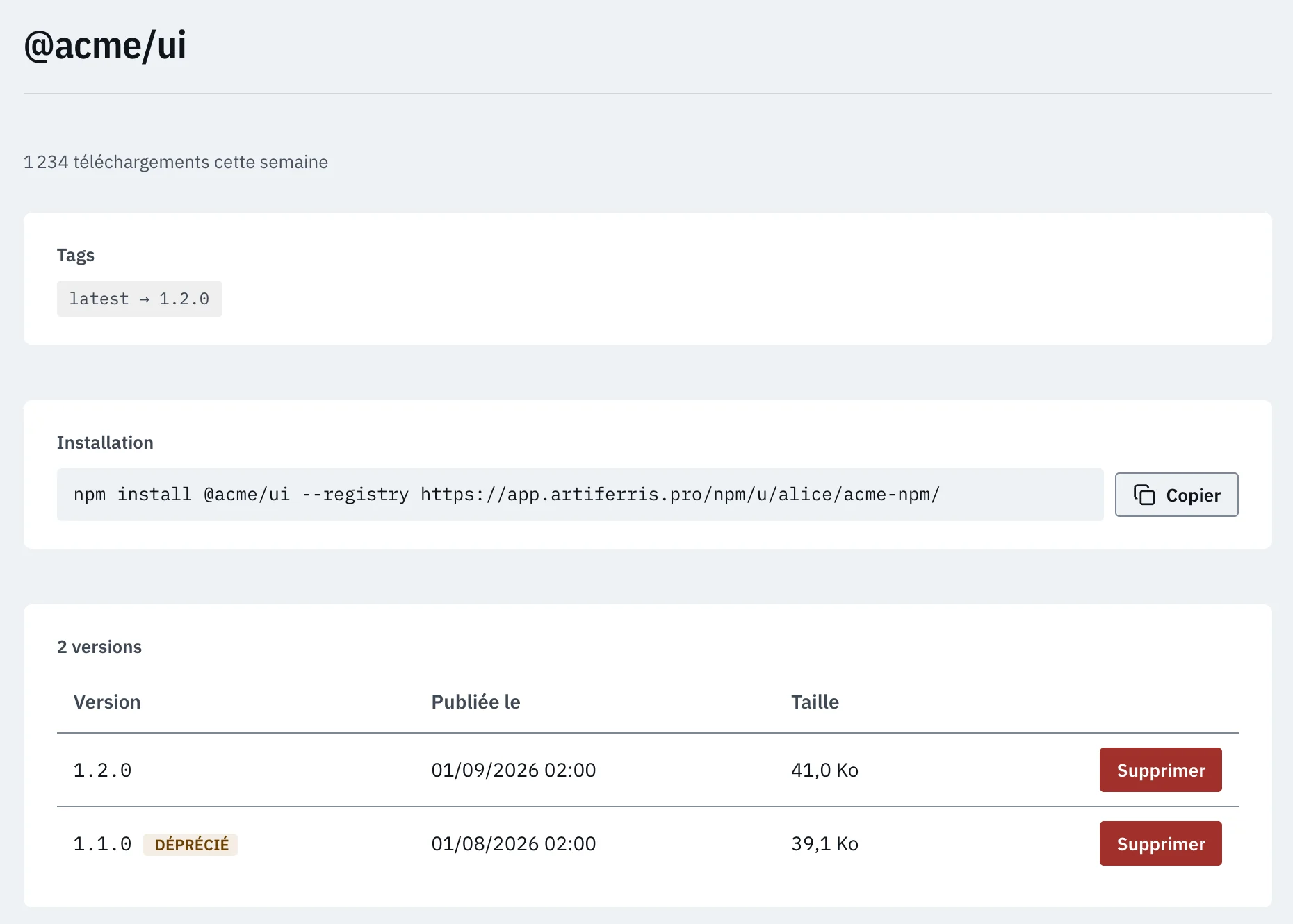 ArtiFerris: the page of an npm package, with its README, install command and versions