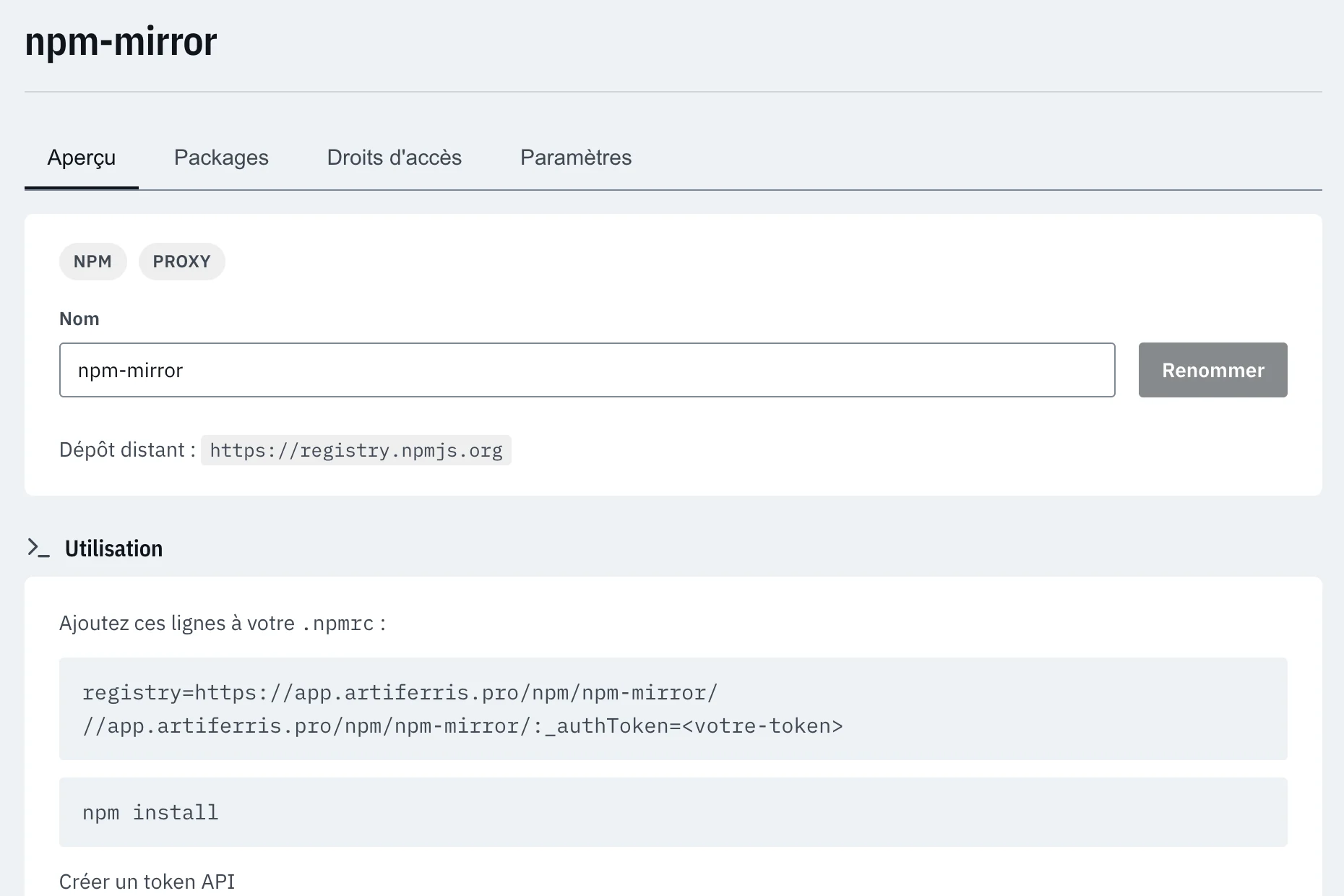 ArtiFerris: the list of npm and Docker repositories, with their format and type