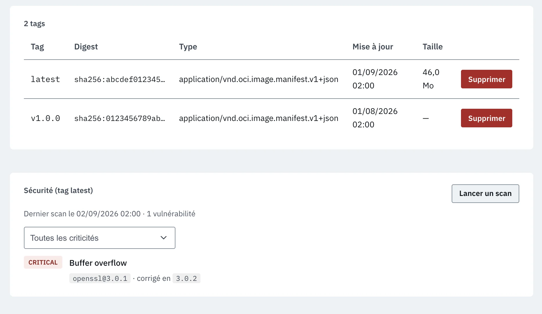 ArtiFerris: the page of a Docker image, with the vulnerabilities Trivy found